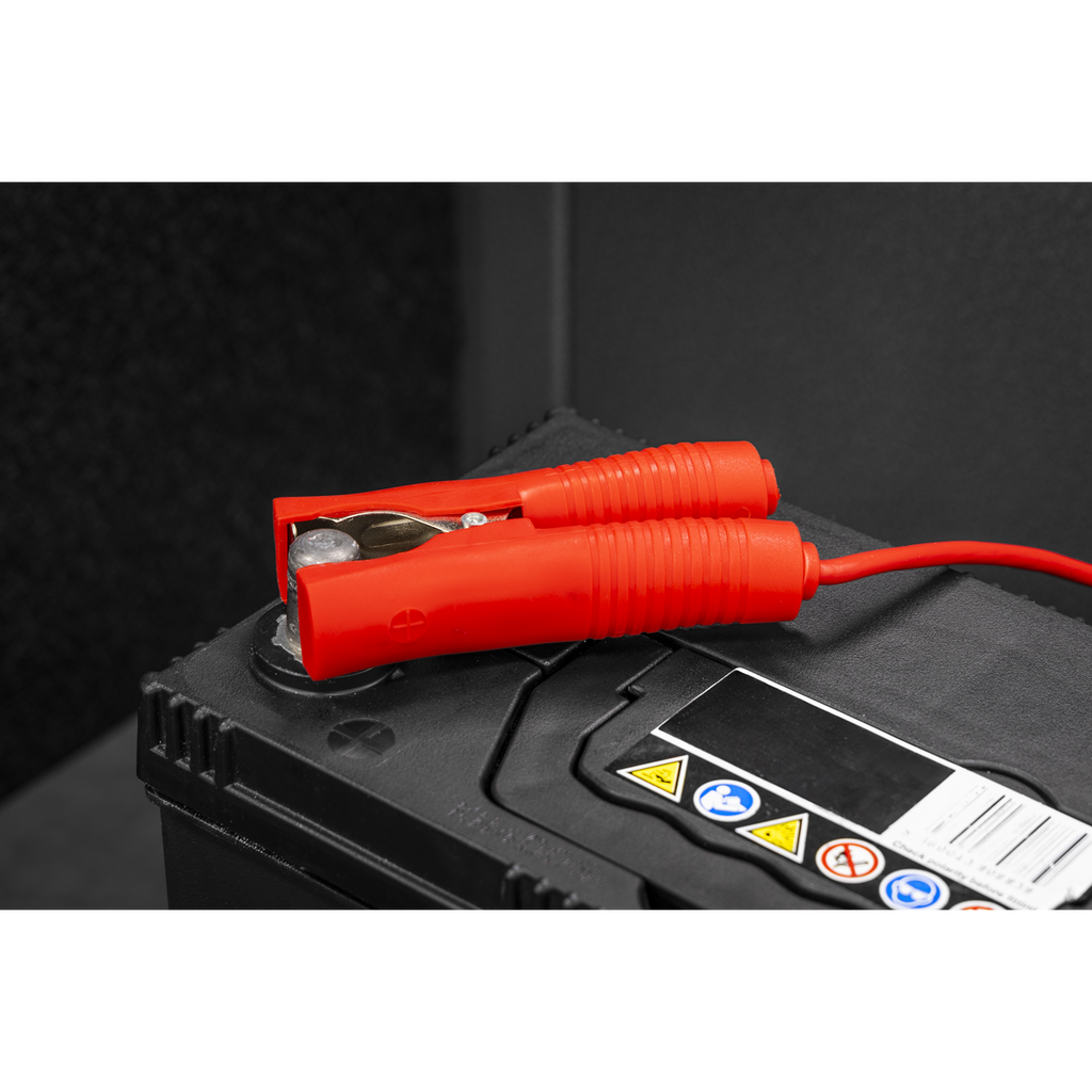 Battery Support Unit Charger & Maintainer 40A SPBC40