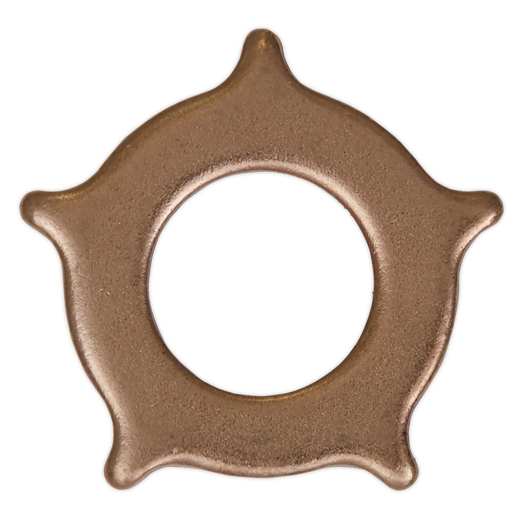 Star Washer for SR2000 - Pack of 10 SR2000.SW