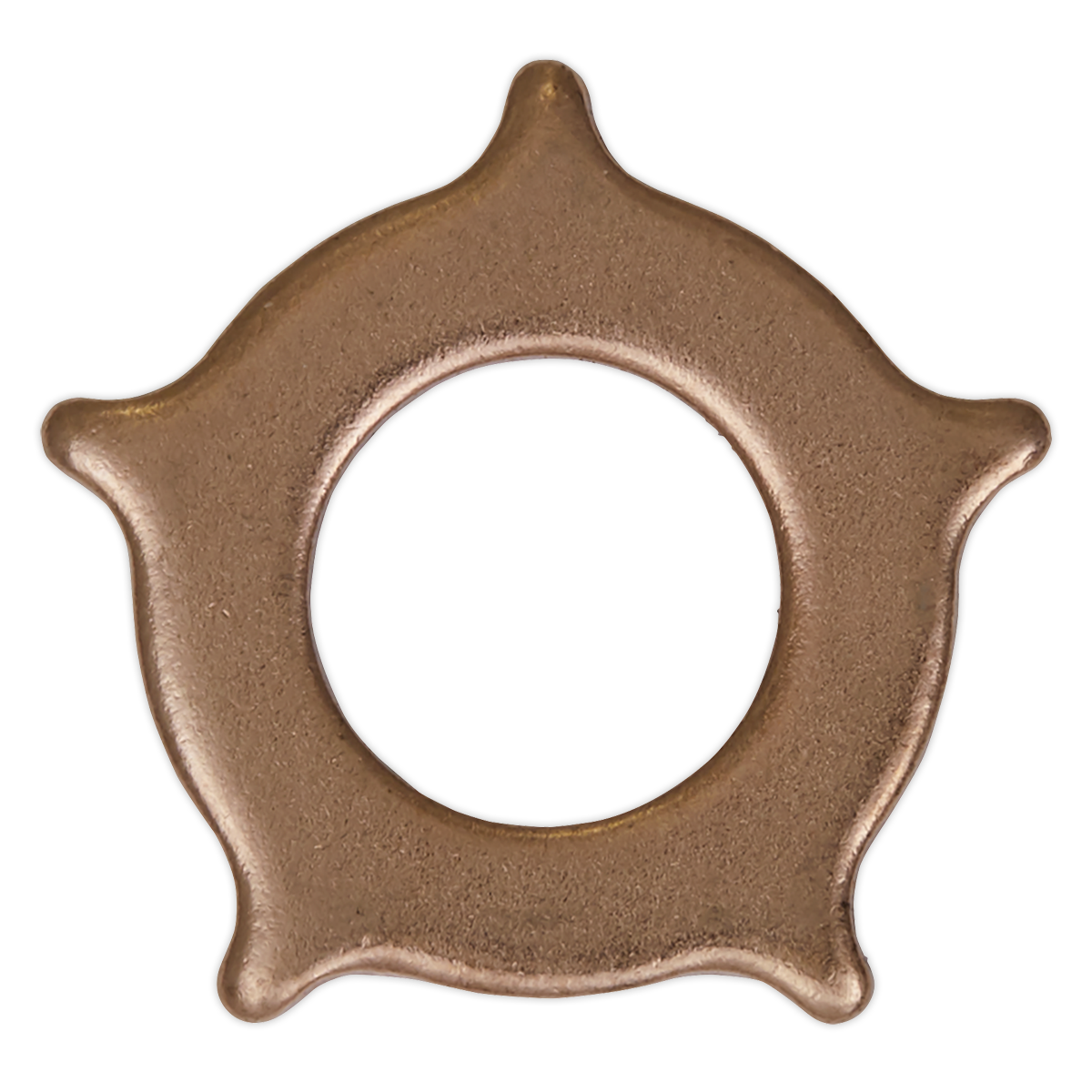 Star Washer for SR2000 - Pack of 10 SR2000.SW