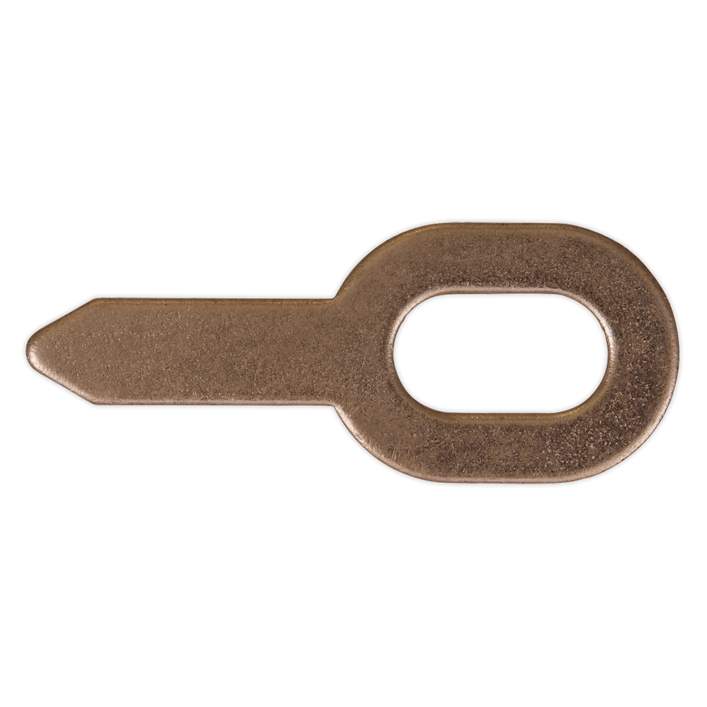 Tabs for SR2000 - Pack of 10 SR2000.T