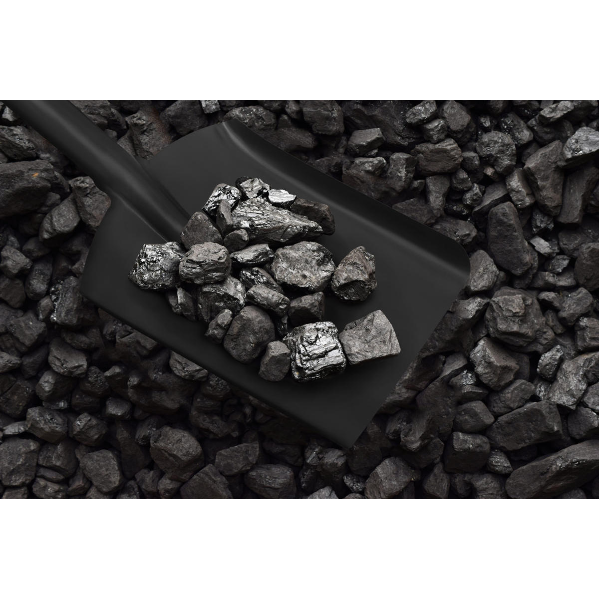 6" Coal Shovel with 185mm Handle SS08