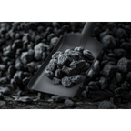 6" Coal Shovel with 185mm Handle SS08