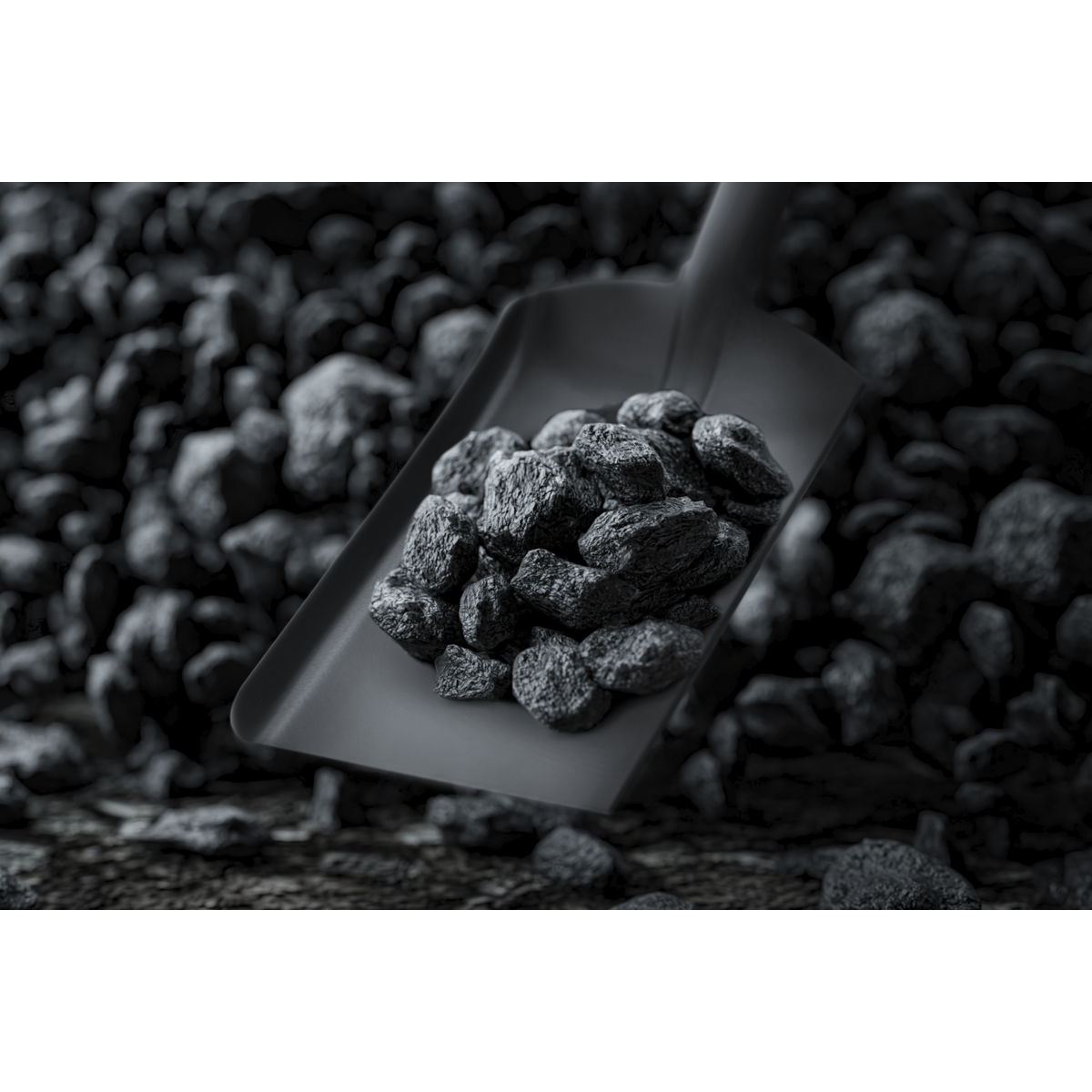 6" Coal Shovel with 185mm Handle SS08