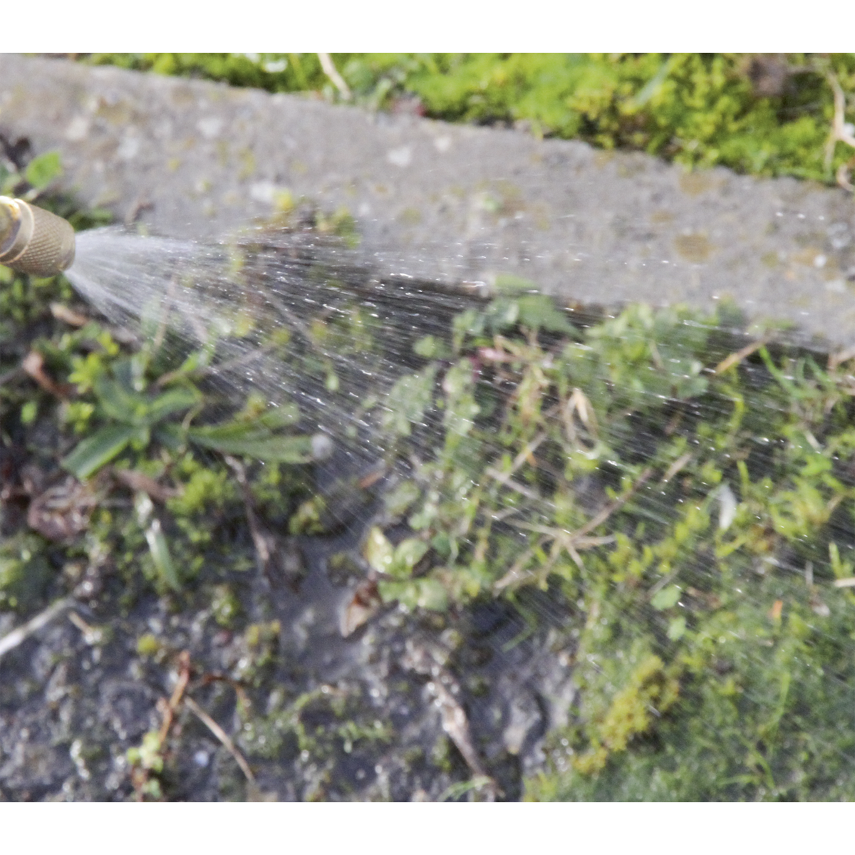 Pressure Sprayer 8L SS3