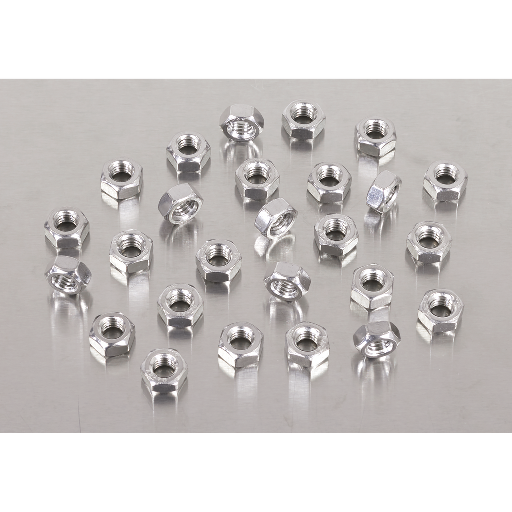 Stainless Steel Nut M6 x 1mm pitch, DIN 934 - Pack of 100 SS6