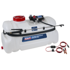 12V Spot/Broadcast Sprayer with Dual Lance & Chemical-Resistant Tank 100L SS98