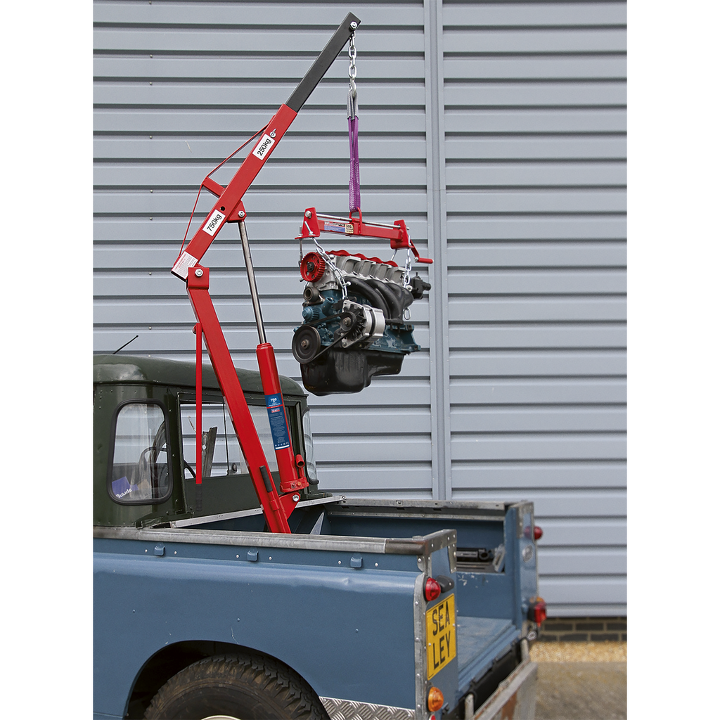 Static Mounted Crane 750kg SSC750