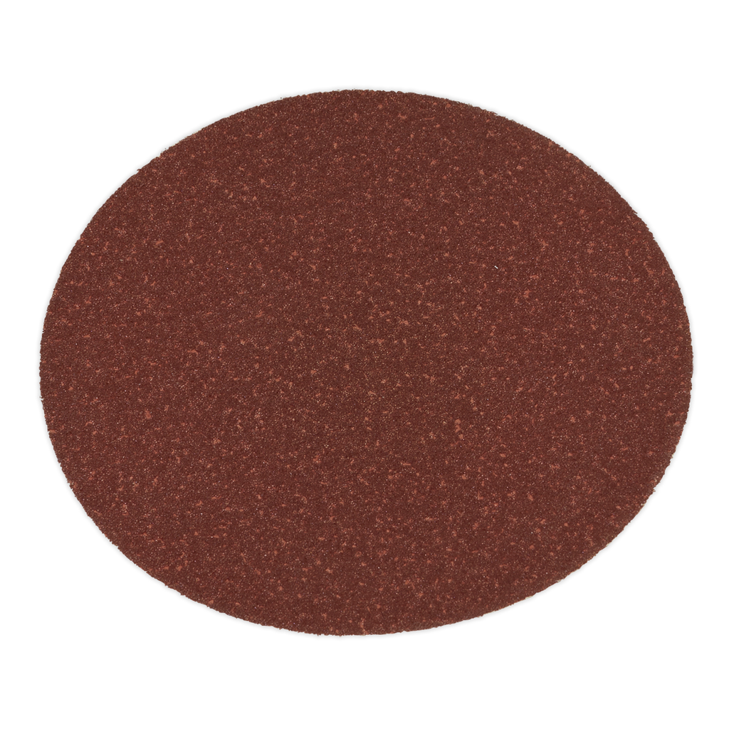 Adhesive Backed Sanding Disc 80Grit 125mm - Pack of 5 SSD01