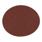 Adhesive Backed Sanding Disc 80Grit 125mm - Pack of 5 SSD01