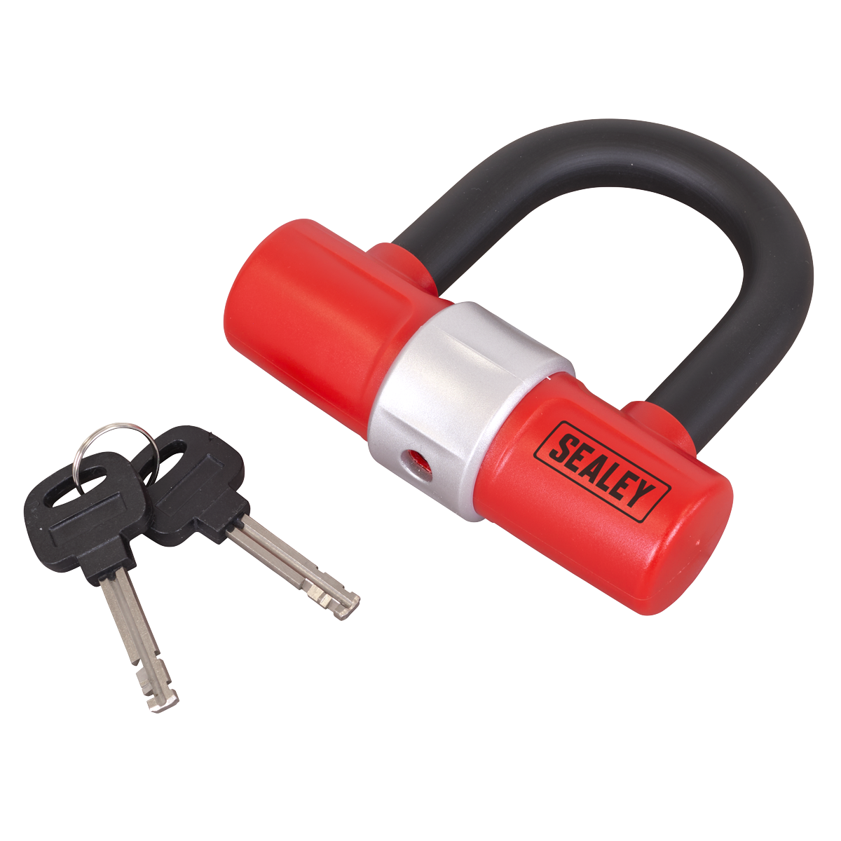 D-Shape Padlock SSL01