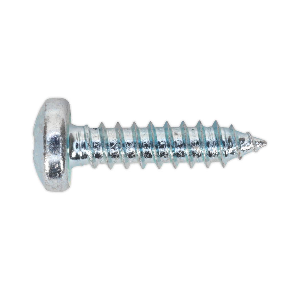 Zinc Plated Self-Tapping Pan Head Pozi Screw Assortment 305pc - DIN 798CZ AB064STPP