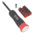 Digital Torque Screwdriver Set 1/4"Sq Drive 2-10Nm 34pc STS100