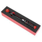 Calibrated Micrometer Torque Wrench with 3/8"Sq Push-Through Drive 10-50Nm STW922