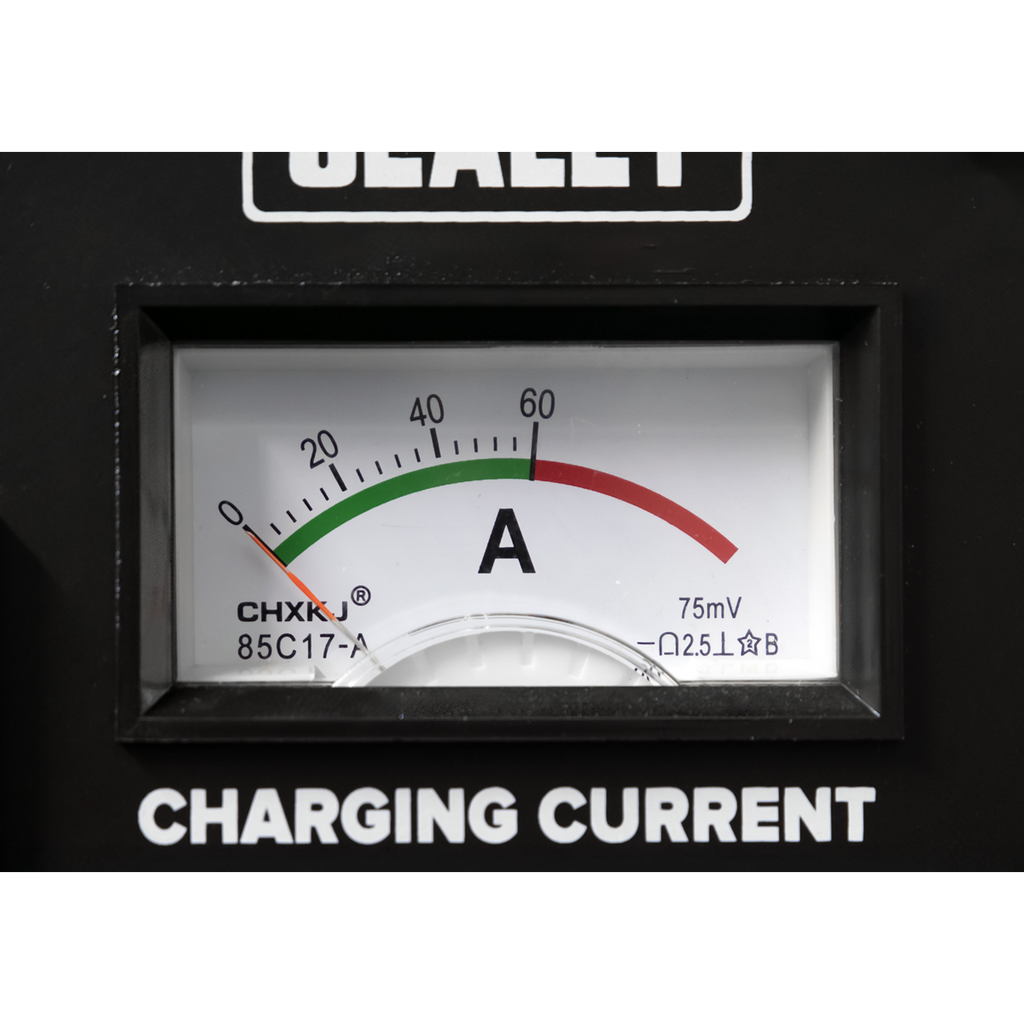 12/24V Starter/Charger 180/40A 230V SUPERBOOST180