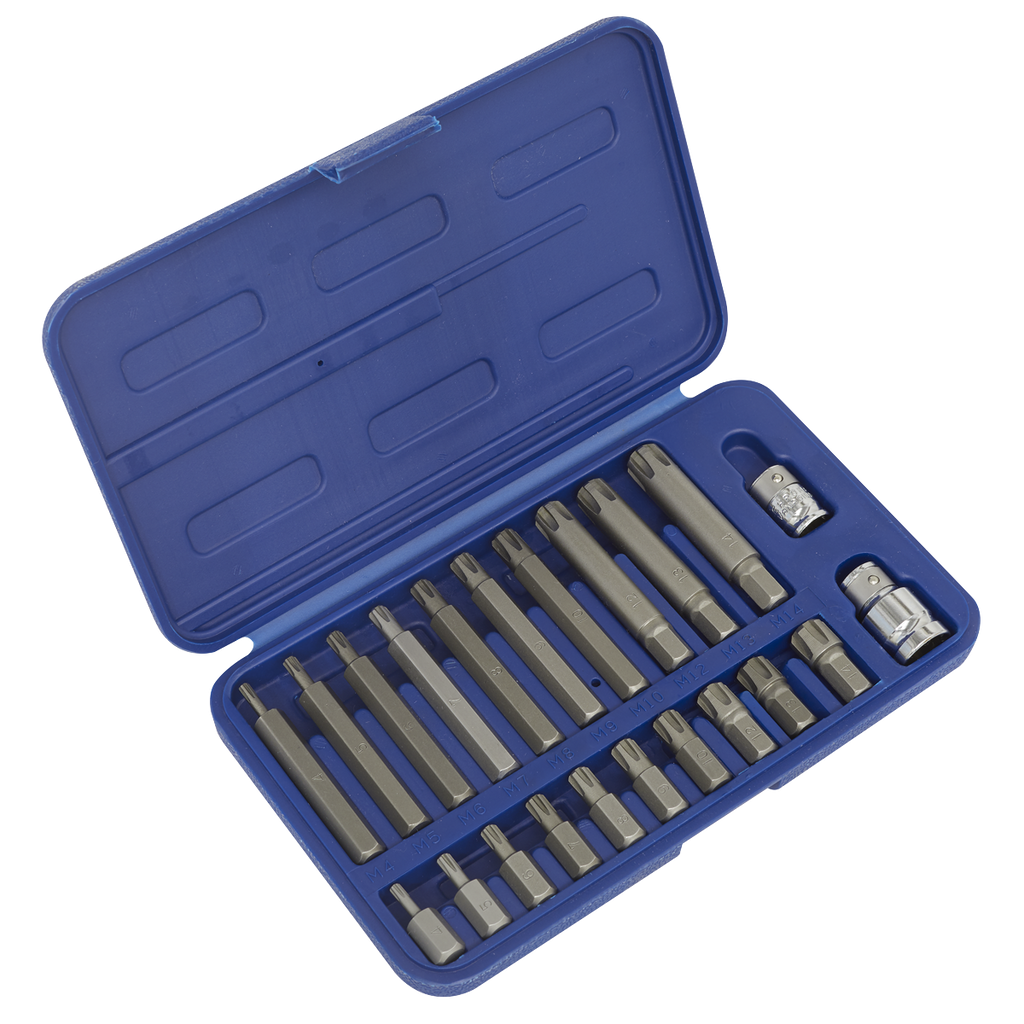 Ribe Bit Set 3/8" & 1/2"Sq Drive 22pc SX105