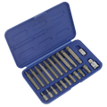 Ribe Bit Set 3/8" & 1/2"Sq Drive 22pc SX105