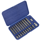 Ribe Bit Set 3/8" & 1/2"Sq Drive 22pc SX105