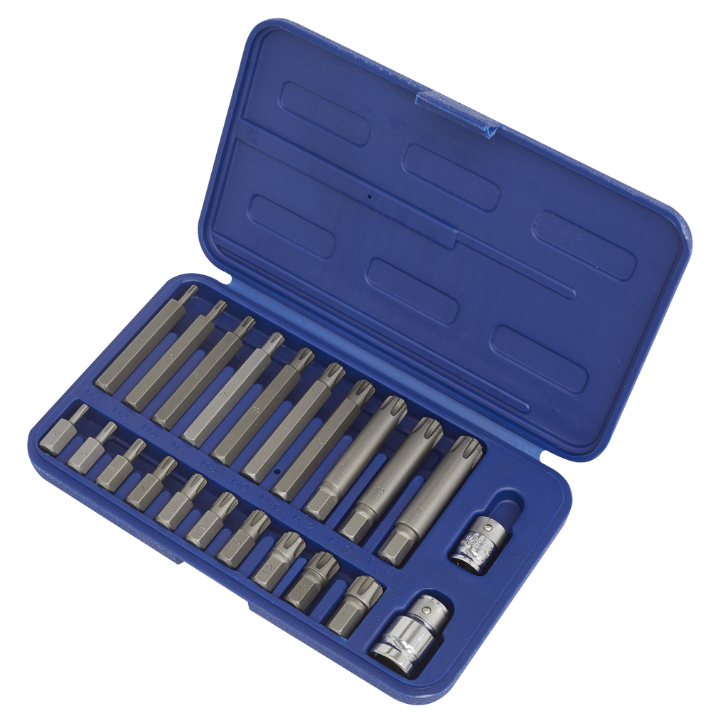Ribe Bit Set 3/8" & 1/2"Sq Drive 22pc SX105