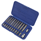 Ribe Bit Set 3/8" & 1/2"Sq Drive 22pc SX105
