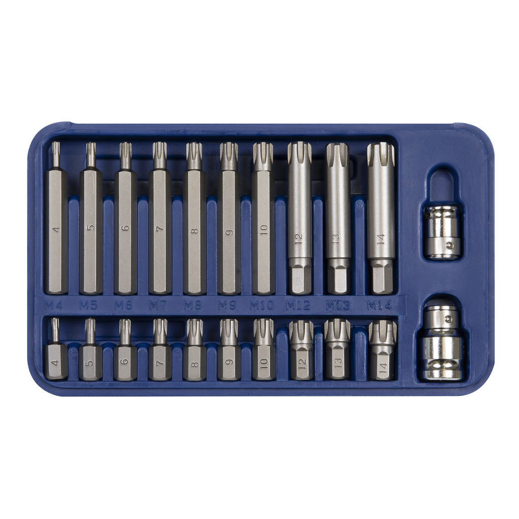 Ribe Bit Set 3/8" & 1/2"Sq Drive 22pc SX105