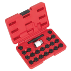 Locking Wheel Nut Key Set for Audi 22pc SX206