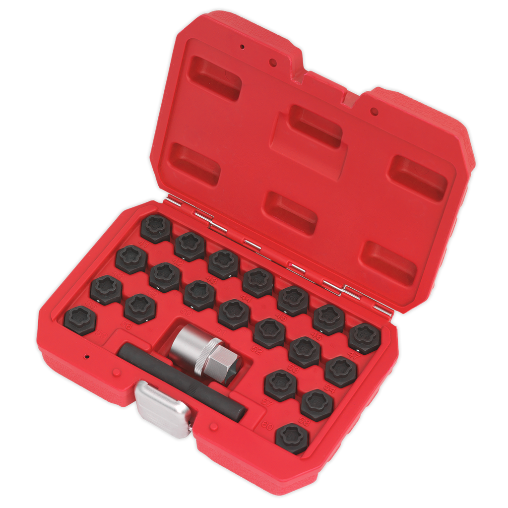 Locking Wheel Nut Key Set for BMW 22pc SX207
