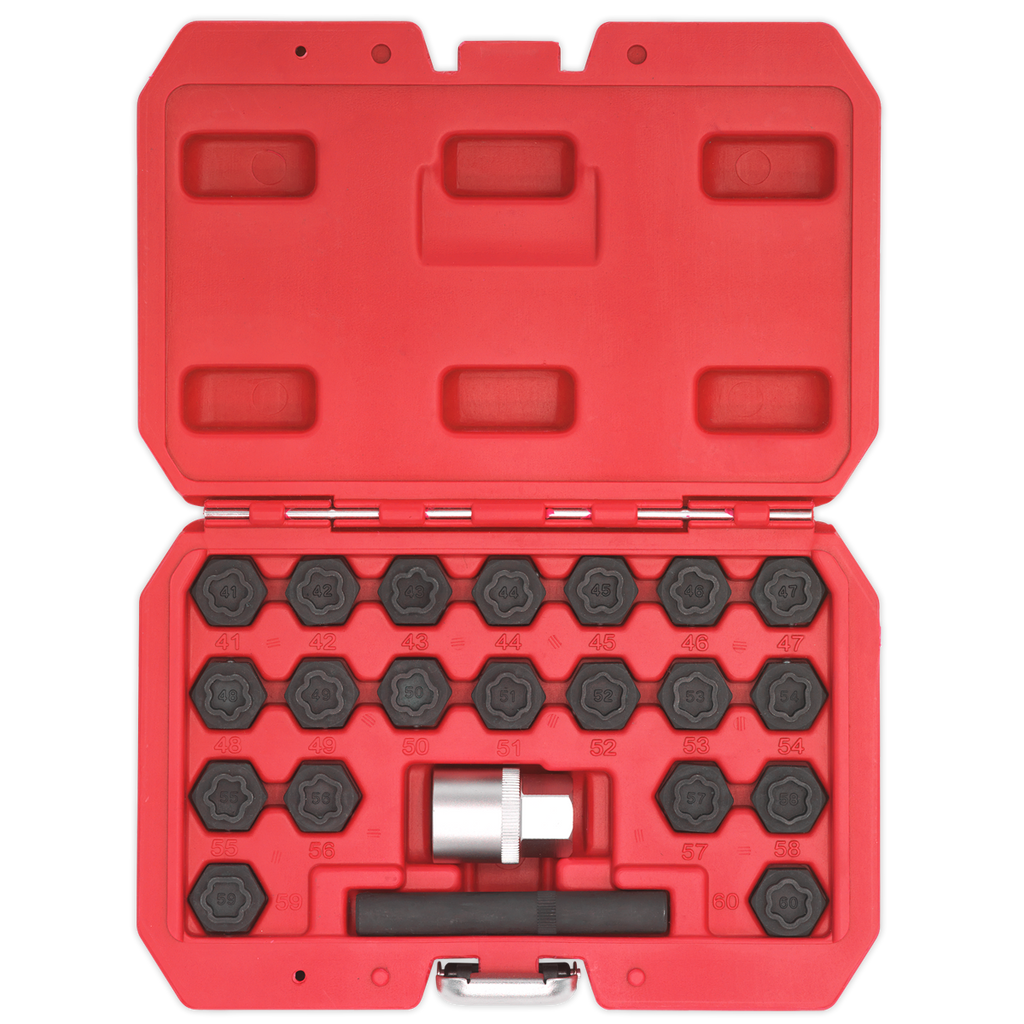 Locking Wheel Nut Key Set for BMW 22pc SX207