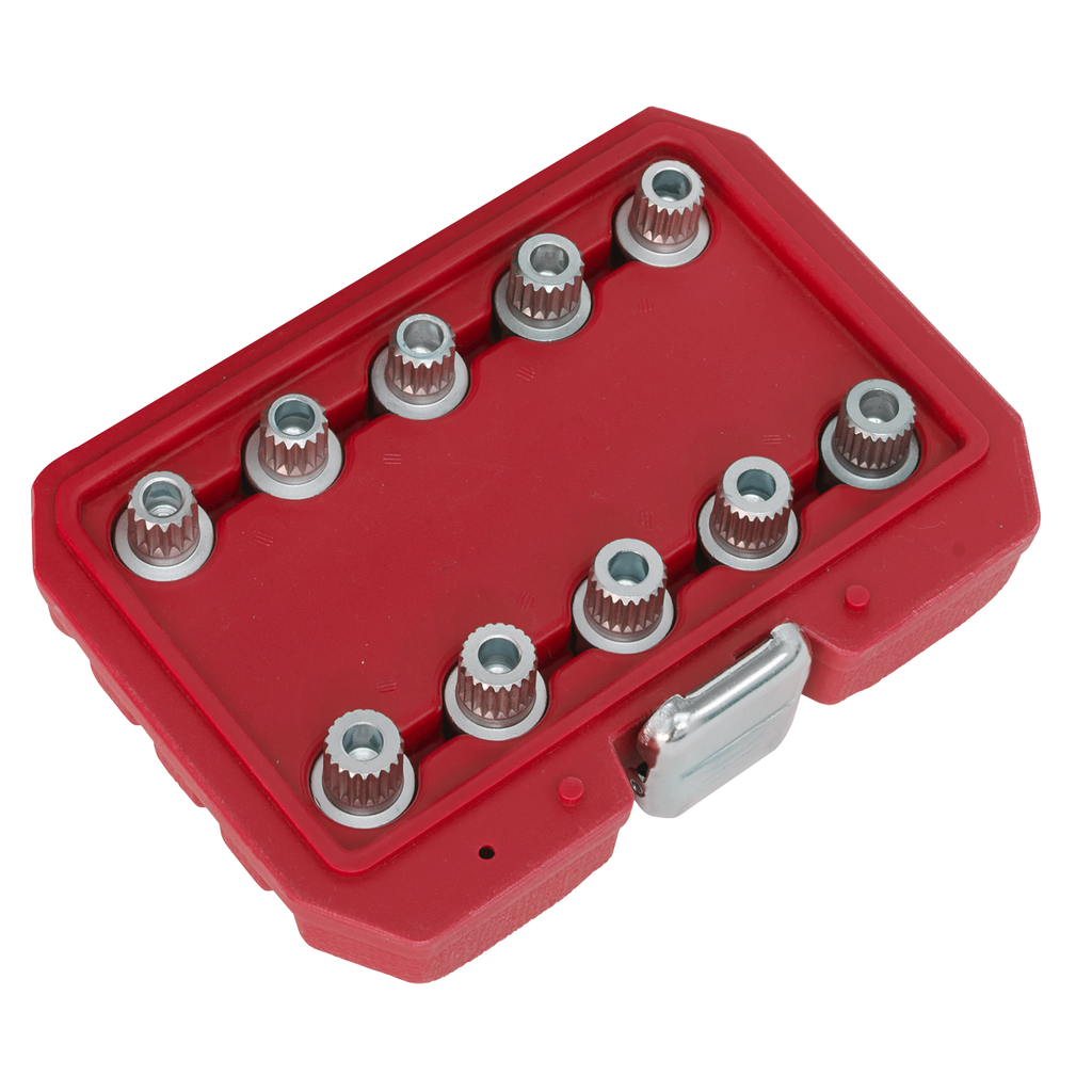 Locking Wheel Nut Key Set for BMW & Mini 10pc SX208