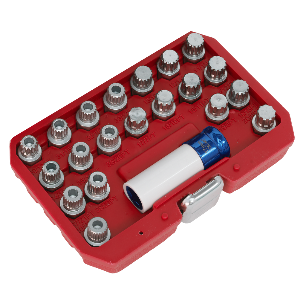 Locking Wheel Nut Key Set for BMW & Mini 21pc SX209