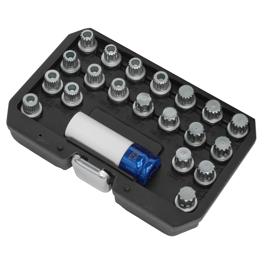 Locking Wheel Nut Key Set for BMW & Mini 21pc SX209