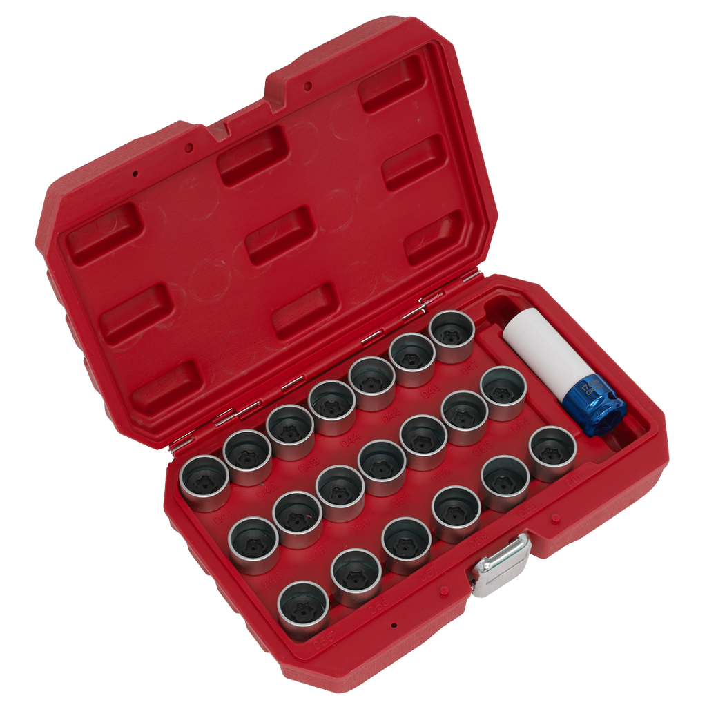 Locking Wheel Nut Key Set for BMW 21pc SX217