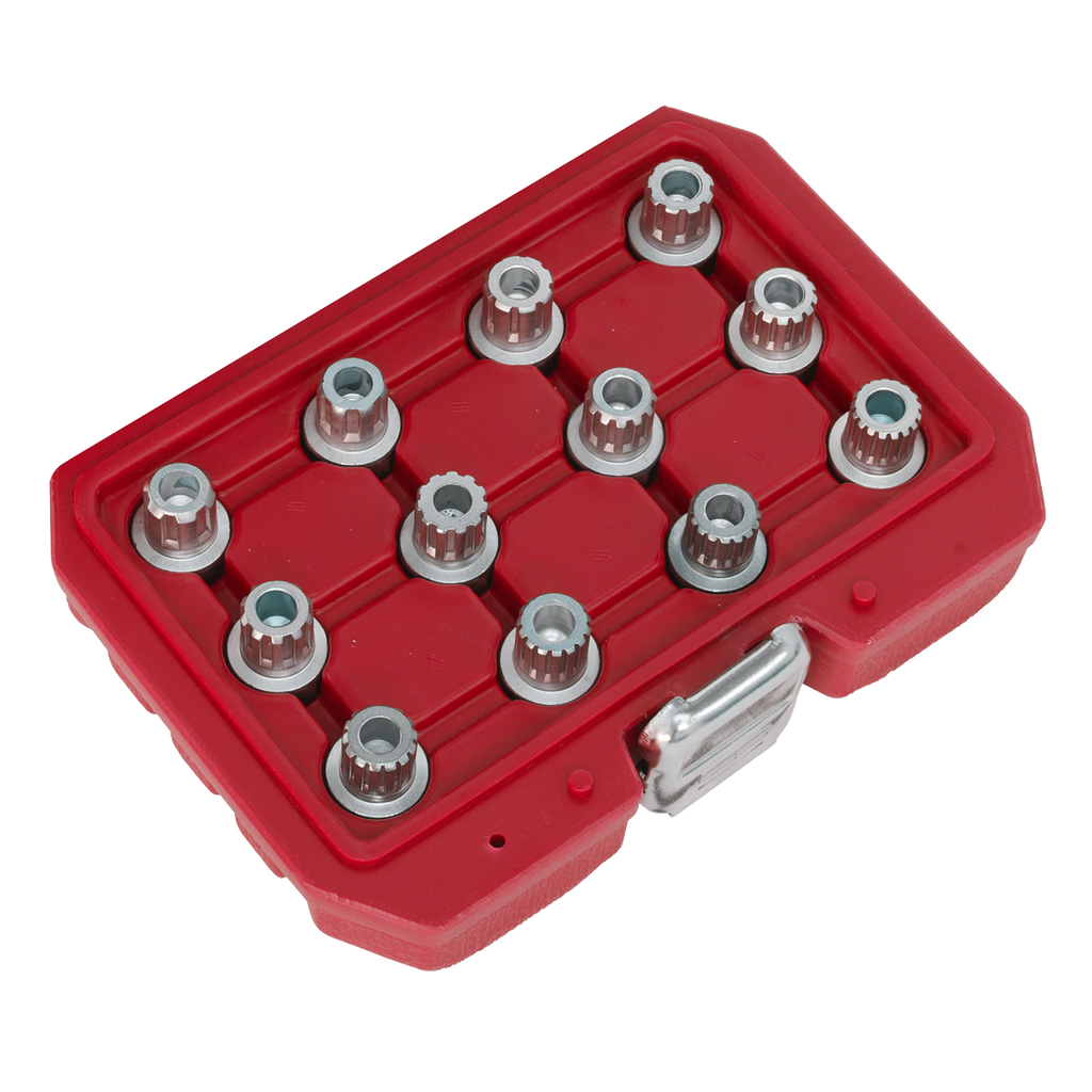 Locking Wheel Nut Key Set for VW 12pc SX224