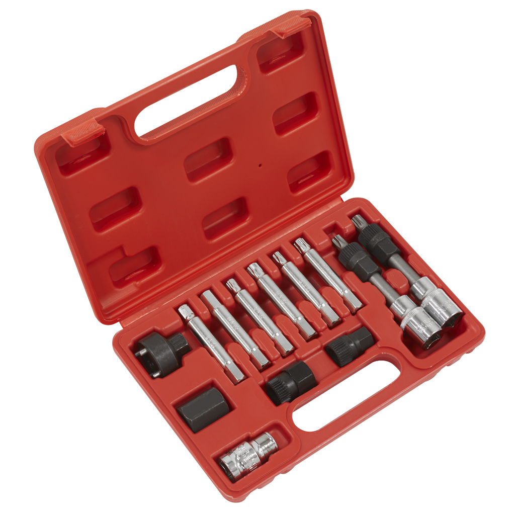 Alternator Freewheel Removal Set 13pc SX401