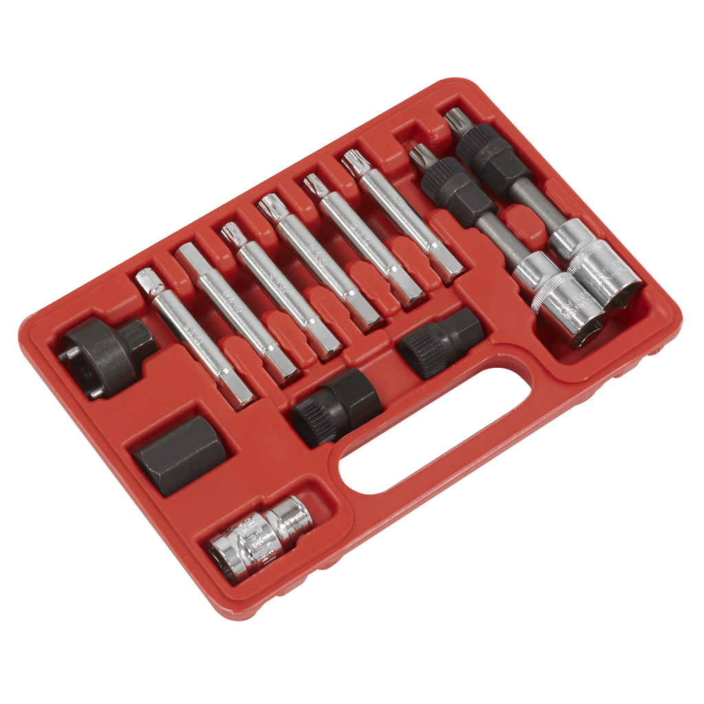 Alternator Freewheel Removal Set 13pc SX401