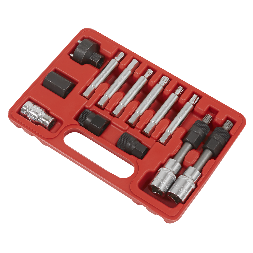 Alternator Freewheel Removal Set 13pc SX401