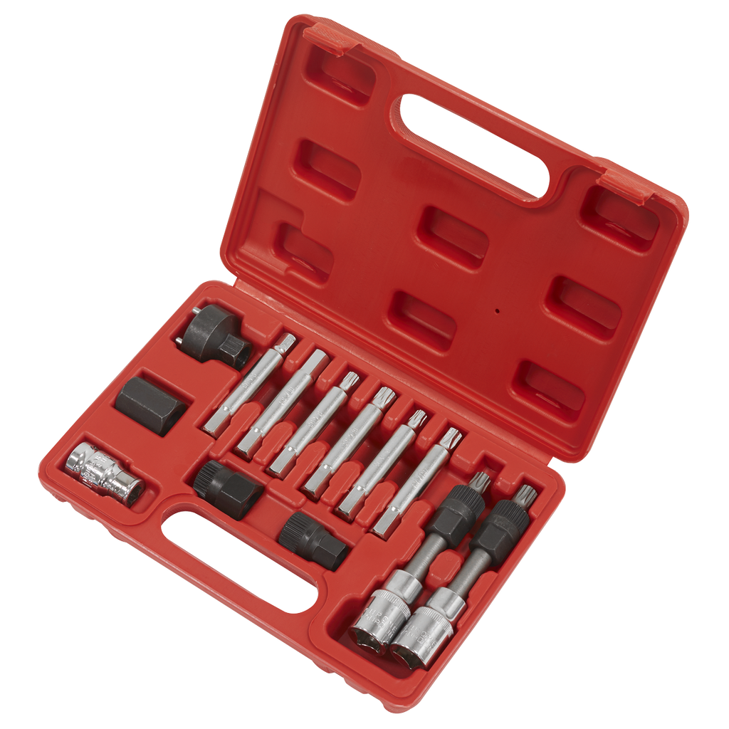 Alternator Freewheel Removal Set 13pc SX401
