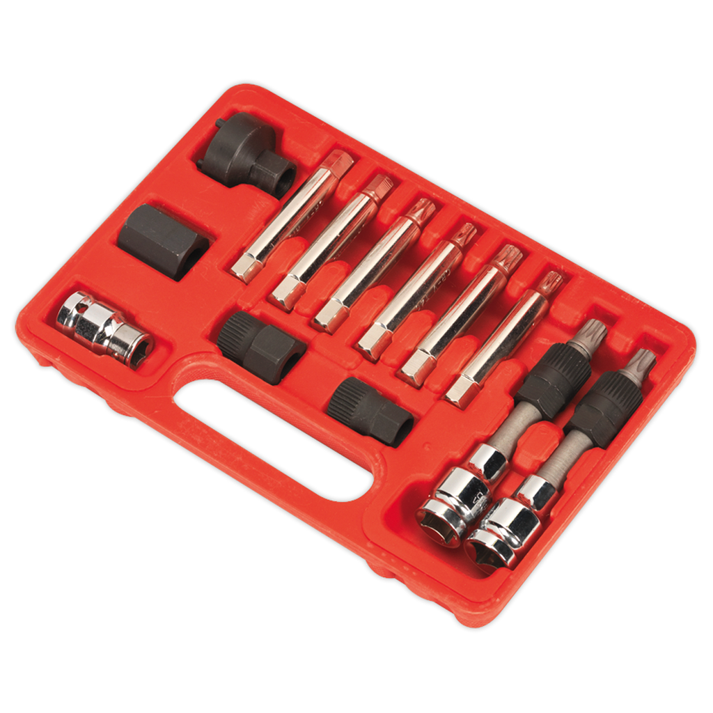 Alternator Freewheel Removal Set 13pc SX401