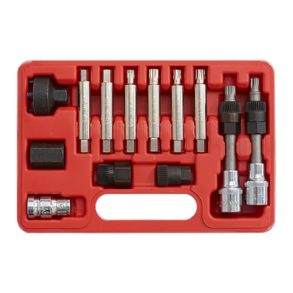 Alternator Freewheel Removal Set 13pc SX401