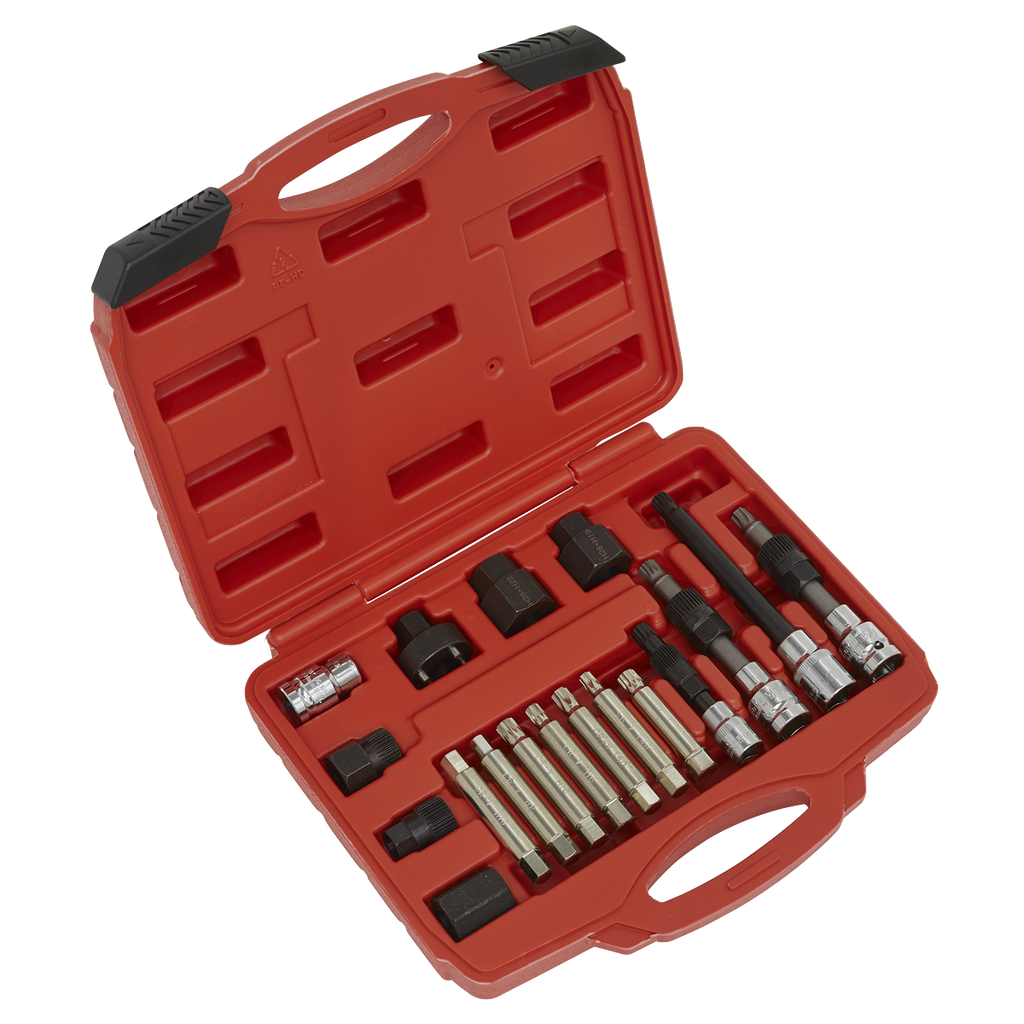 Alternator Freewheel Pulley Removal Set 18pc SX402