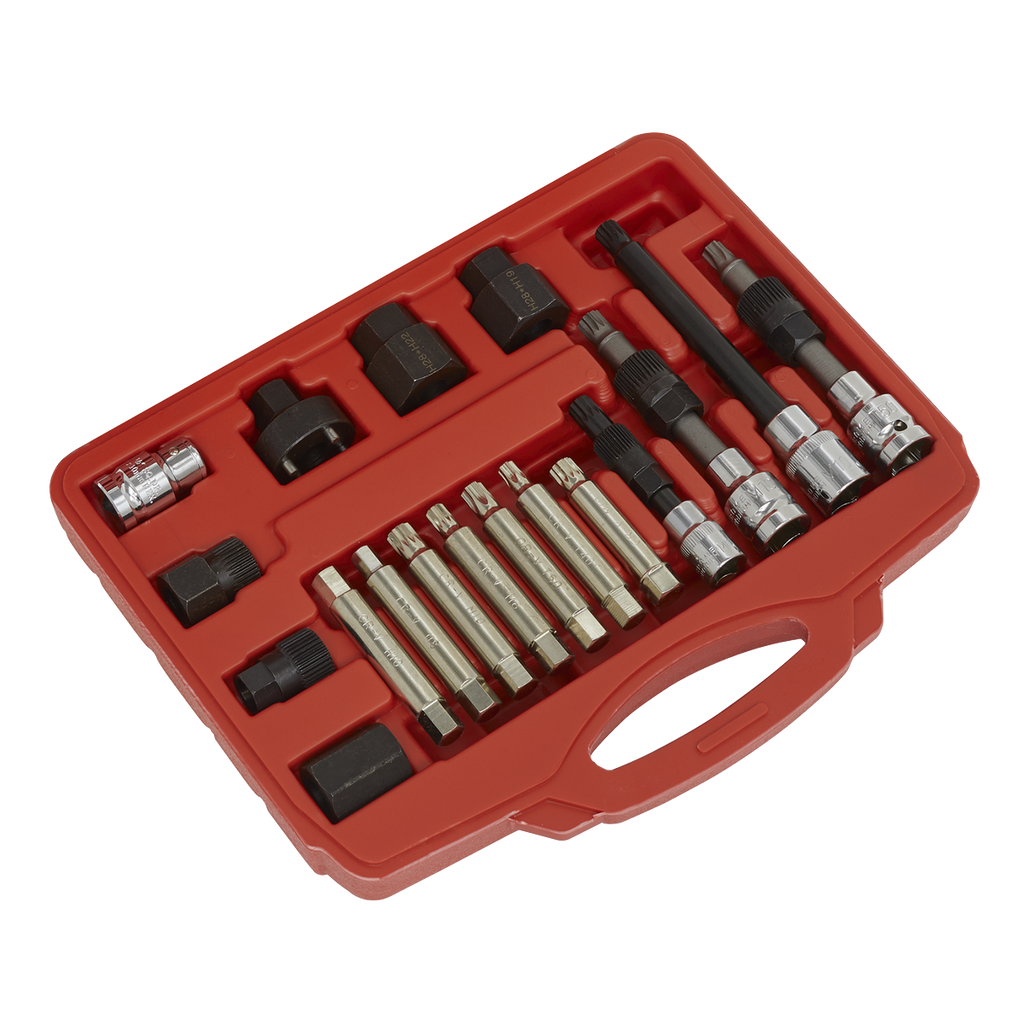 Alternator Freewheel Pulley Removal Set 18pc SX402