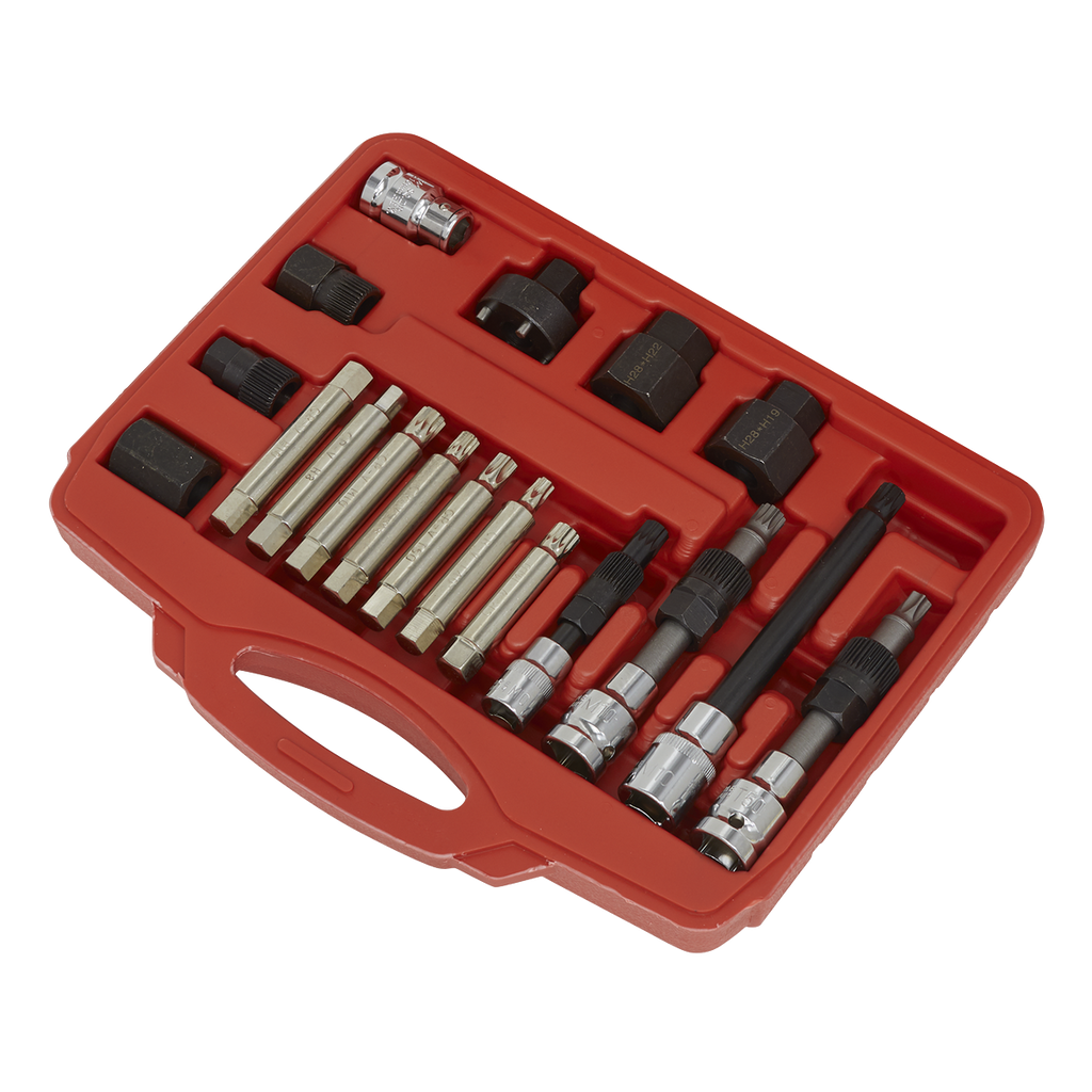 Alternator Freewheel Pulley Removal Set 18pc SX402