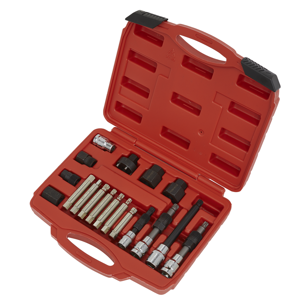 Alternator Freewheel Pulley Removal Set 18pc SX402