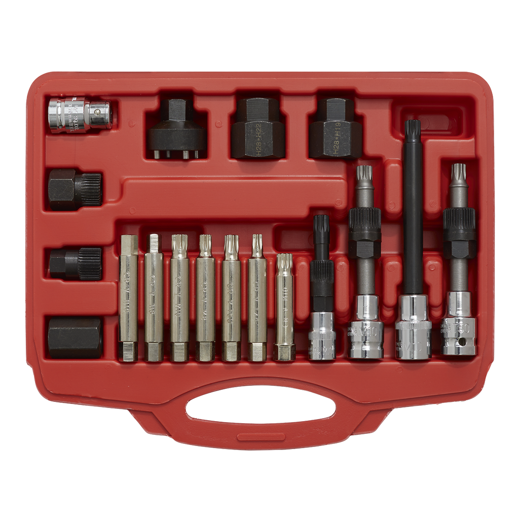Alternator Freewheel Pulley Removal Set 18pc SX402