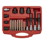 Alternator Freewheel Pulley Removal Set 18pc SX402