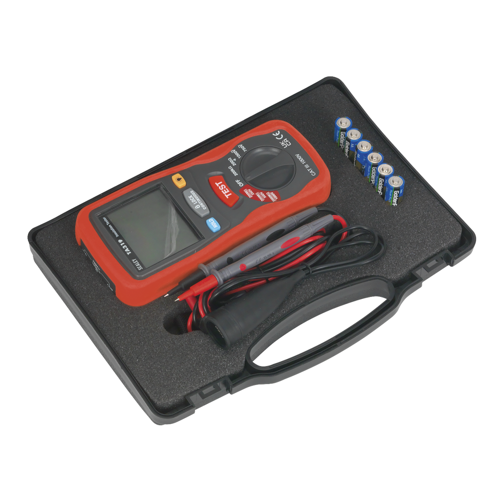 Digital Insulation Tester TA319