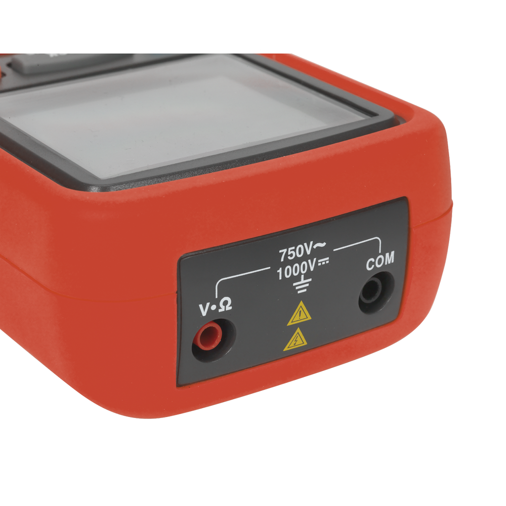 Digital Insulation Tester TA319