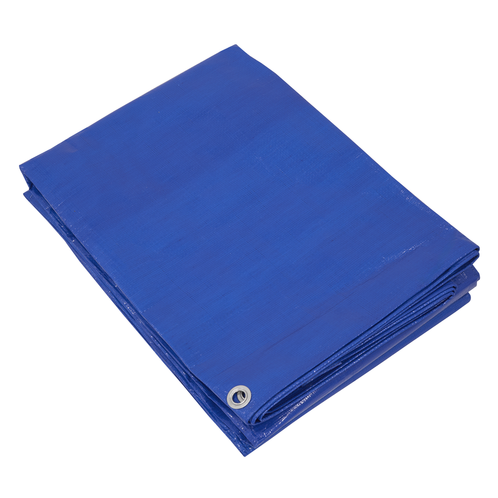 Lightweight PE Tarpaulin 3.66 x 4.88m - Blue TARP3040