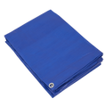 Lightweight PE Tarpaulin 6.10 x 12.19m - Blue TARP6012