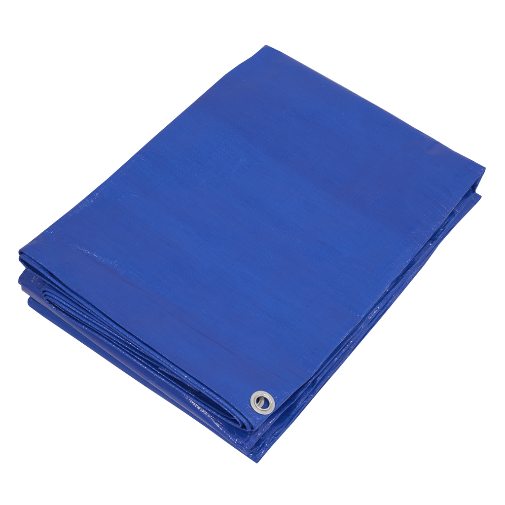 Lightweight PE Tarpaulin 6.10 x 12.19m - Blue TARP6012
