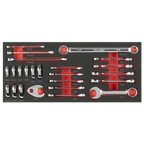 Stubby Combination, TRX-Star* & Crow's Foot Spanner Set with Tool Tray 24pc TBT50